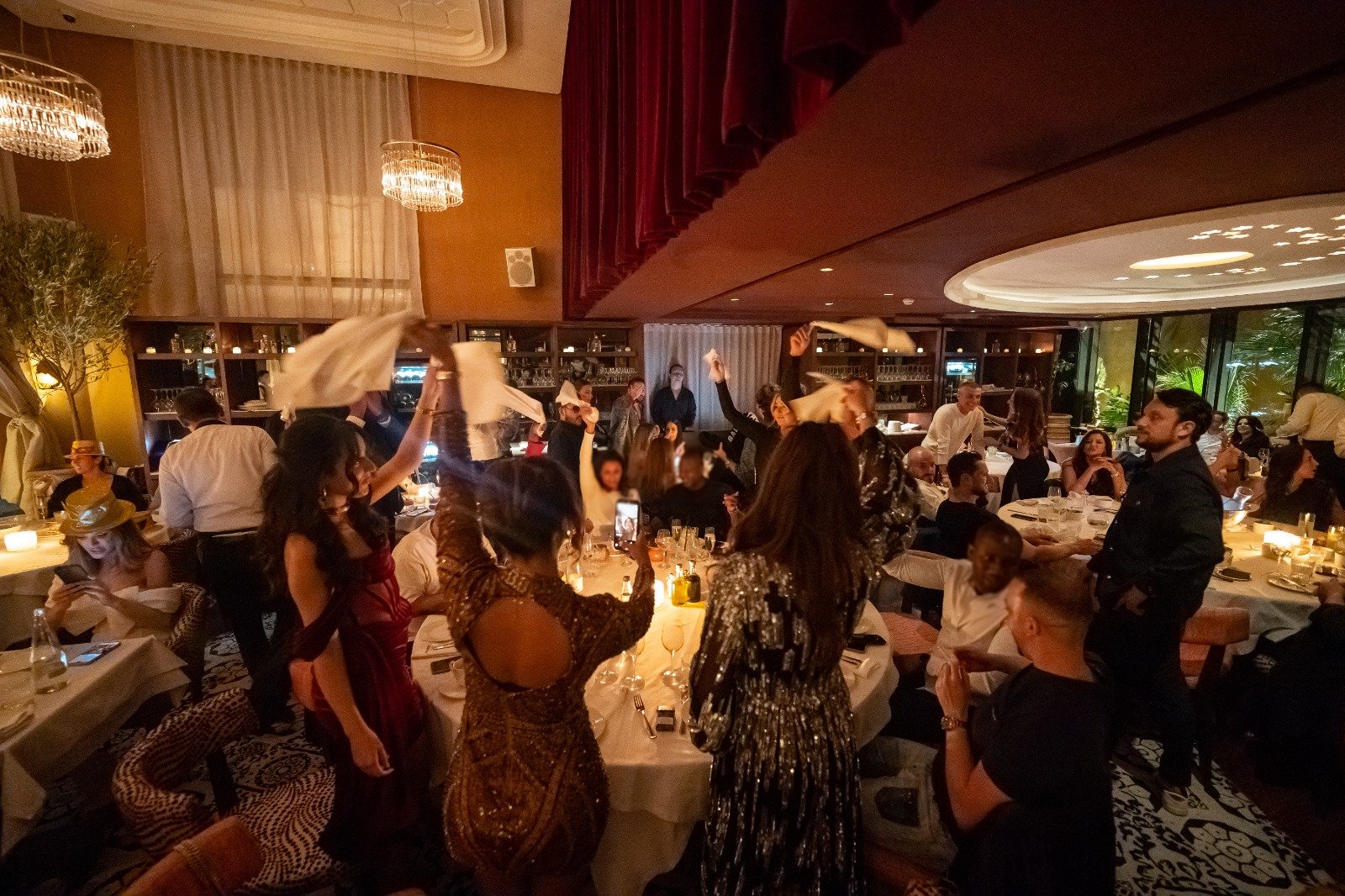 NOTO Restaurant Experience